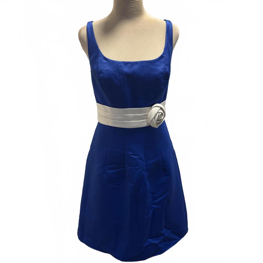 NWT Eden Blue & White Satin Wide Neck Dress Pleated 8